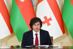 Кобахидзе: Грузия ожидает более тесного взаимодействия с партнерами по проекту «зеленого» коридора Азербайджан-ЕС