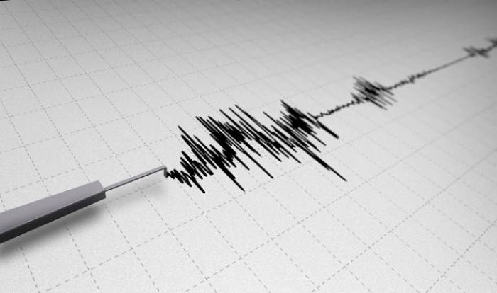 В Турции случилось землетрясение магнитудой 3,8