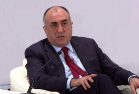 Мамедъяров: Тема EXPO 2025 Baku полностью соответствует международной повестке дня
