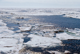Ученые России и Китая собрали данные об изменении климата в Арктике

