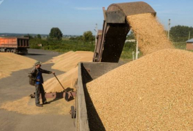 За январь-июль в Азербайджан импортировано более 653 тысяч тонн пшеницы
