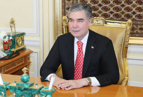 Президент Туркменистана и глава ВОЗ обсудили борьбу с пандемией
