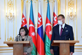 Проведен совместный брифинг спикеров парламентов Азербайджана и Словакии