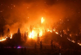 В Канаде из-за лесного пожара эвакуировали 6 тыс. человек
