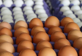 Из Азербайджана в Россию ввезено в общей сложности 43,1 млн яиц
