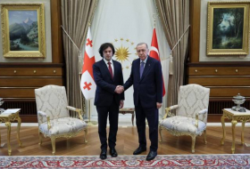 Кобахидзе: Сотрудничество Турции, Азербайджана и Грузии действительно важно
