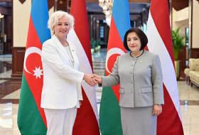 Председатели парламентов Азербайджана и Латвии обсудили перспективы развития сотрудничества