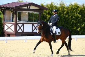 Азербайджанский спортсмен завоевал 4 золотые медали на международных соревнованиях по конному спорту