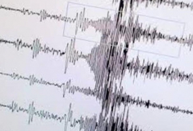 На востоке Пакистана произошло землетрясение магнитудой 5,3