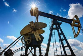 Цена азербайджанской нефти превысила 51 доллар