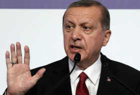 Эрдоган: Я не диктатор