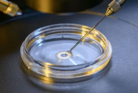 Эмбрион человека избавили от дефекта при помощи коррекции ДНК