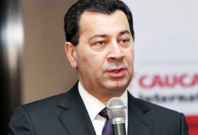 Самед Сеидов: «Генсек Совета Европы критикует только Азербайджан»