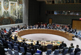 Россия наложила вето на японский проект резолюции по Сирии