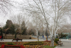 Обнародован прогноз погоды в Азербайджане на первый день Нового года