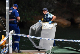 При крушении самолета в Австралии погиб британский миллионер с семьей