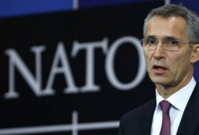 Генсек НАТО призвал Турцию применять силу в Сирии пропорционально