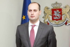 Джанелидзе: «Азербайджан - стратегический партнер Грузии»