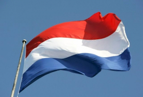 Нидерланды отзывают посла Турции