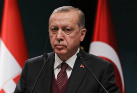 Эрдоган: у России и Турции нет противоречий по Африну