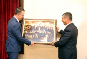 Азербайджан и Румыния обсудили вопросы военного сотрудничества - ФОТО