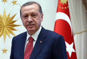 Президент Турции о числе уничтоженных на севере Ирака террористов
