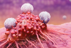 Ученые нашли простой способ профилактики рака
