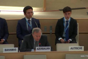 Предложение Азербайджана получило поддержку в Совете по правам человека ООН 