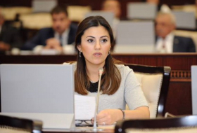 Азербайджанский депутат избрана докладчиком комитета ПАСЕ