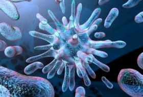 В США нашли новую бактерию, устойчивую к антибиотикам