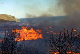 В лесу на Агсуинском перевале вновь начался пожар