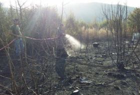 Лесной пожар в Шабране 