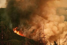 Лесные пожары в Шабране потушены