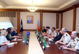 Министр обороны Азербайджана встретился с заместителем генсека НАТО