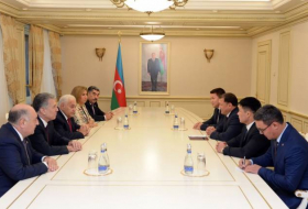 В Милли Меджлисе обсуждались азербайджано-кыргызские двусторонние отношения