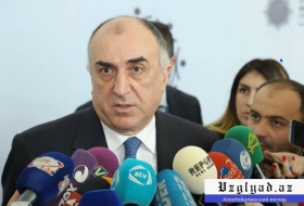 Глава МИД Азербайджана примет участие в Парижском форуме мира