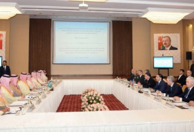 Состоялась встреча министров внутренних дел Азербайджана и Саудовской Аравии
