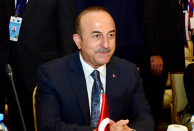 Мевлют Чавушоглу: Благодаря усилиям Азербайджана в ходе председательства в ОЧЭС удалось решить ряд проблем

