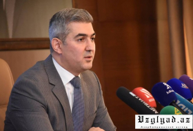 Обнародовано число незаконных мигрантов в Азербайджане
