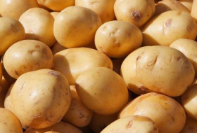 Азербайджан отменил таможенную пошлину на экспорт картофеля