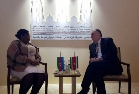 Обсуждены перспективы экономического сотрудничества между Азербайджаном и Суринамом
