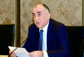 Мамедъяров: Партнеры из ЕС должны приумножить усилия, чтобы получить больше газа из Азербайджана
