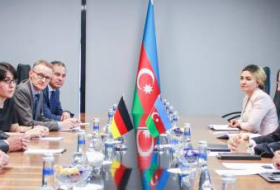 Министр энергетики Азербайджана принял делегацию Бундестага - ФОТО 