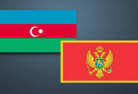 В Баку проходит бизнес-форум Азербайджан-Черногория
