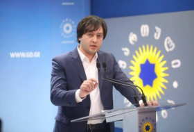 Спикер парламента Грузии прервал официальный визит в Азербайджан
