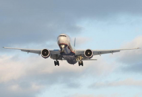Самолет, летевший из Баку в Дубай, совершил вынужденную посадку
