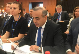 Депутат Азай Гулиев выступил на заключительном пленарном заседании ПА ОБСЕ
