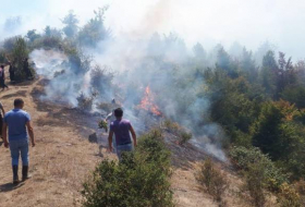 Пожар в Лерикском национального парке