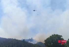 Пожар в Агсу, к тушению огня привлечен вертолет