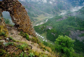 Карабахский региональный центр лесного хозяйства будет финансироваться из бюджета

